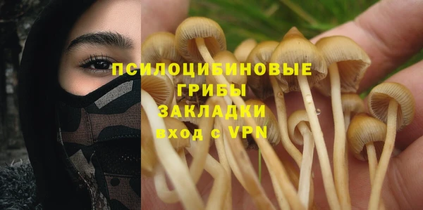 марки lsd Гусев