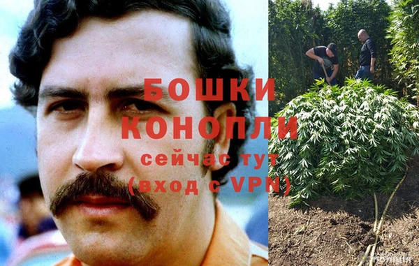 mdma Лагань