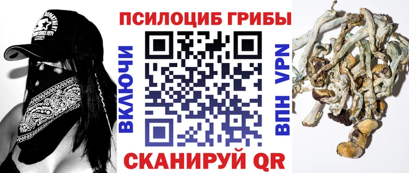 Псилоцибиновые грибы мицелий  Ленск 